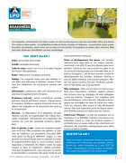 Visuel fiche médiation "Les araignées"